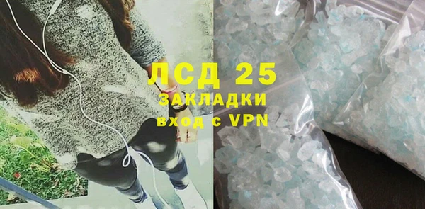 гидра Болотное
