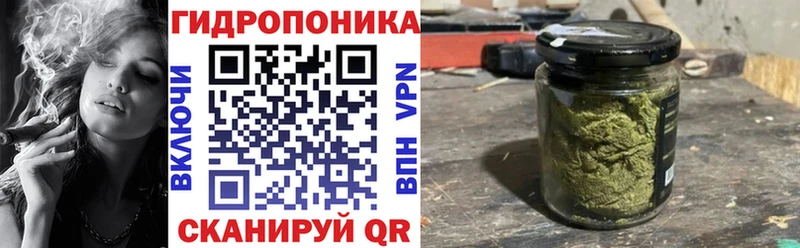 Бошки марихуана MAZAR Полярный